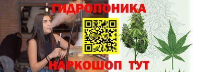 крисы Балахна