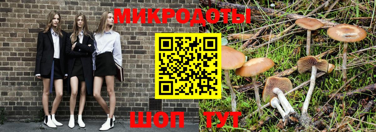 Бердск  Псилоцибиновые грибы прущие грибы  Вход с VPN 