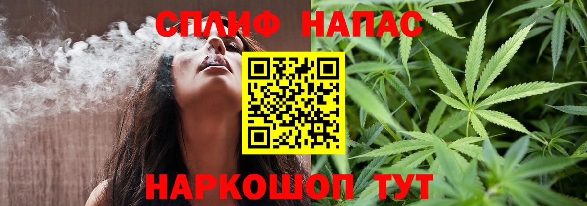 Конопля сатива Бердск
